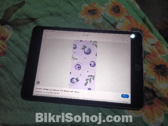 Ipad mini 5 best conditions